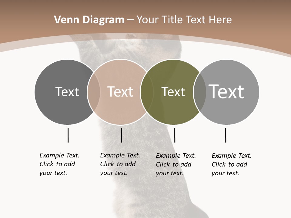 Pet White Kitty PowerPoint Template