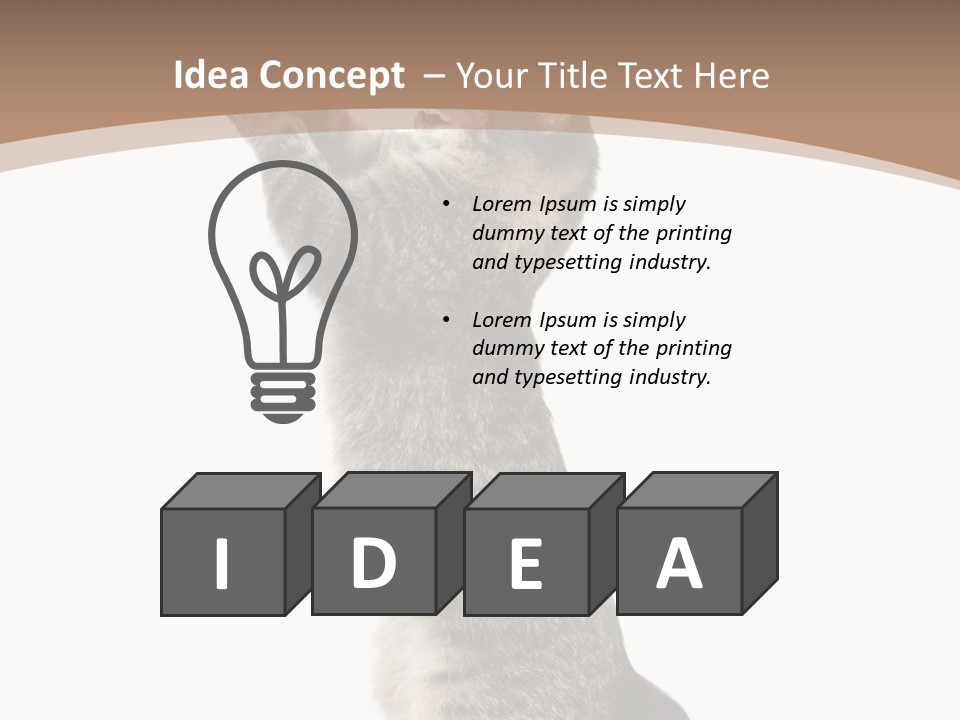 Pet White Kitty PowerPoint Template