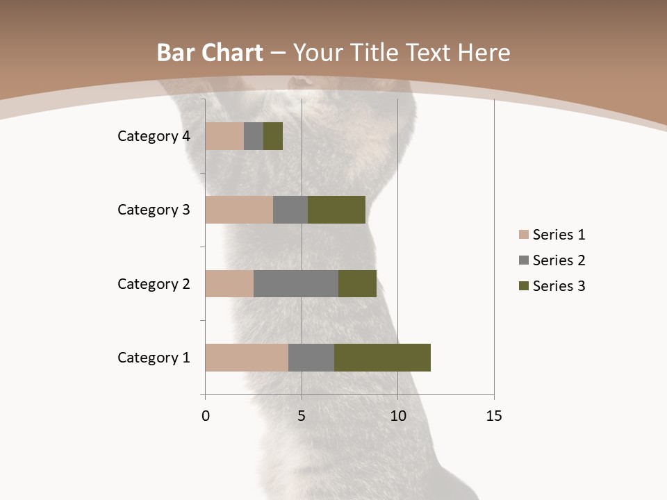 Pet White Kitty PowerPoint Template