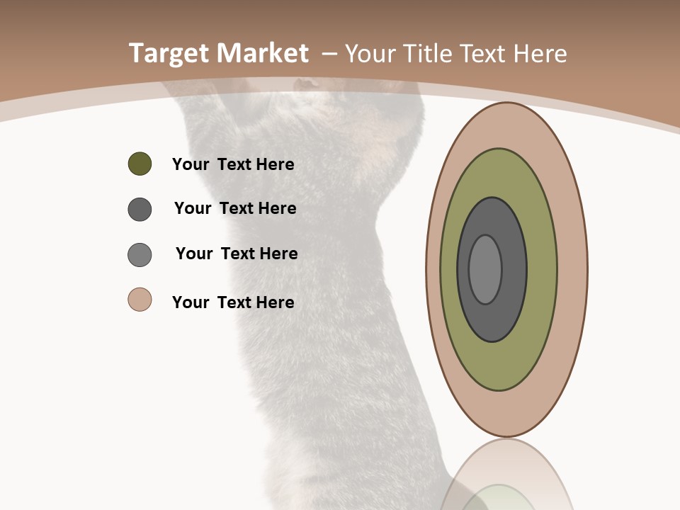 Pet White Kitty PowerPoint Template