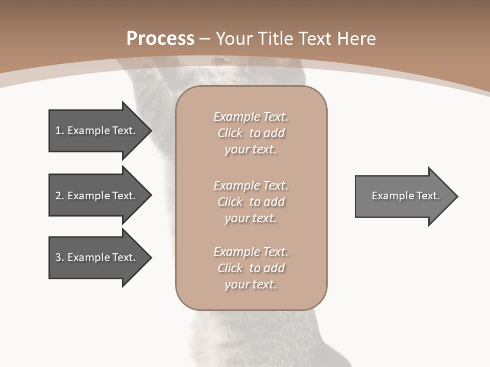 Pet White Kitty PowerPoint Template