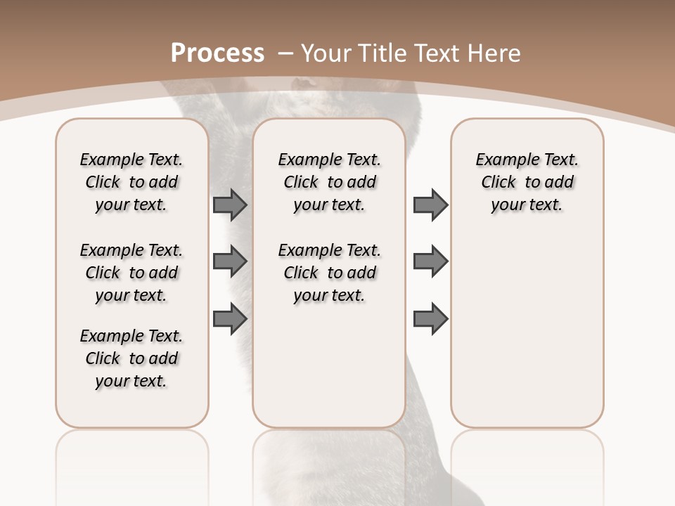 Pet White Kitty PowerPoint Template