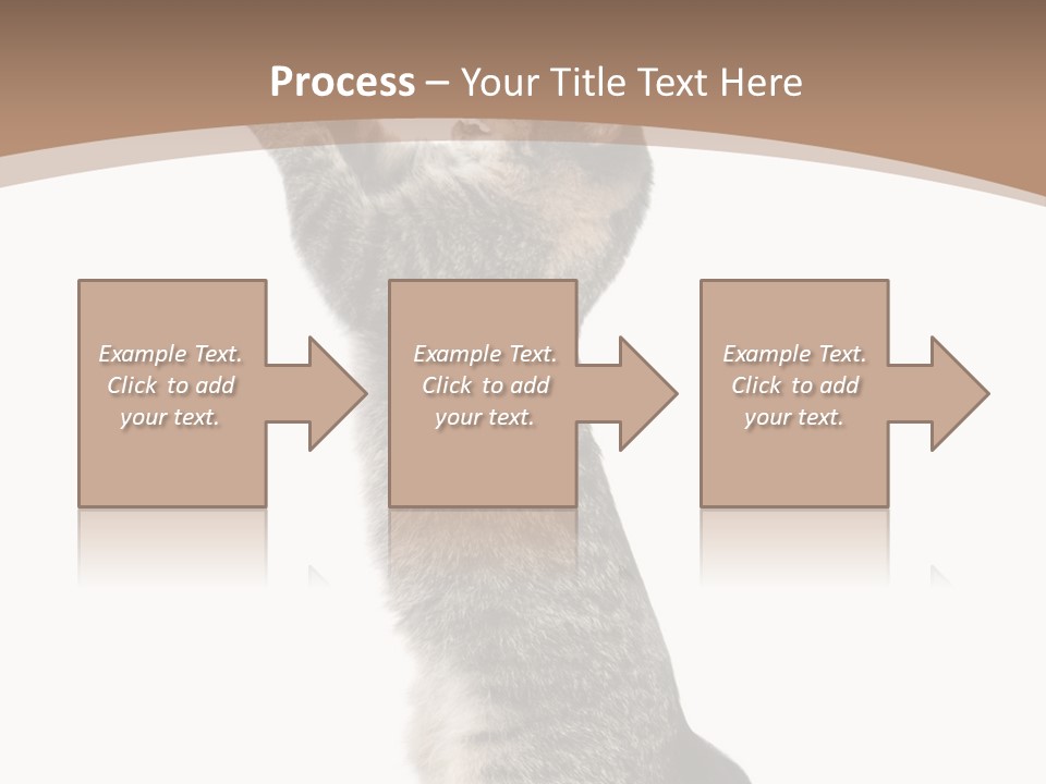 Pet White Kitty PowerPoint Template