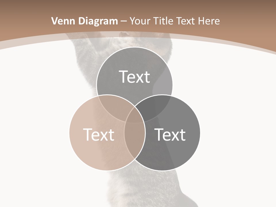 Pet White Kitty PowerPoint Template