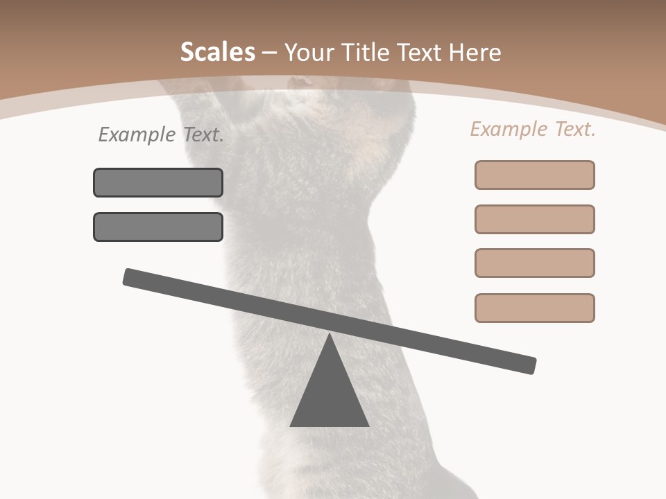 Pet White Kitty PowerPoint Template