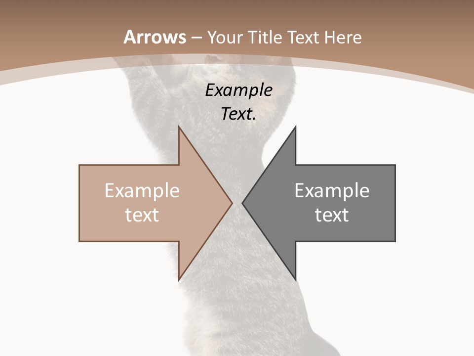 Pet White Kitty PowerPoint Template