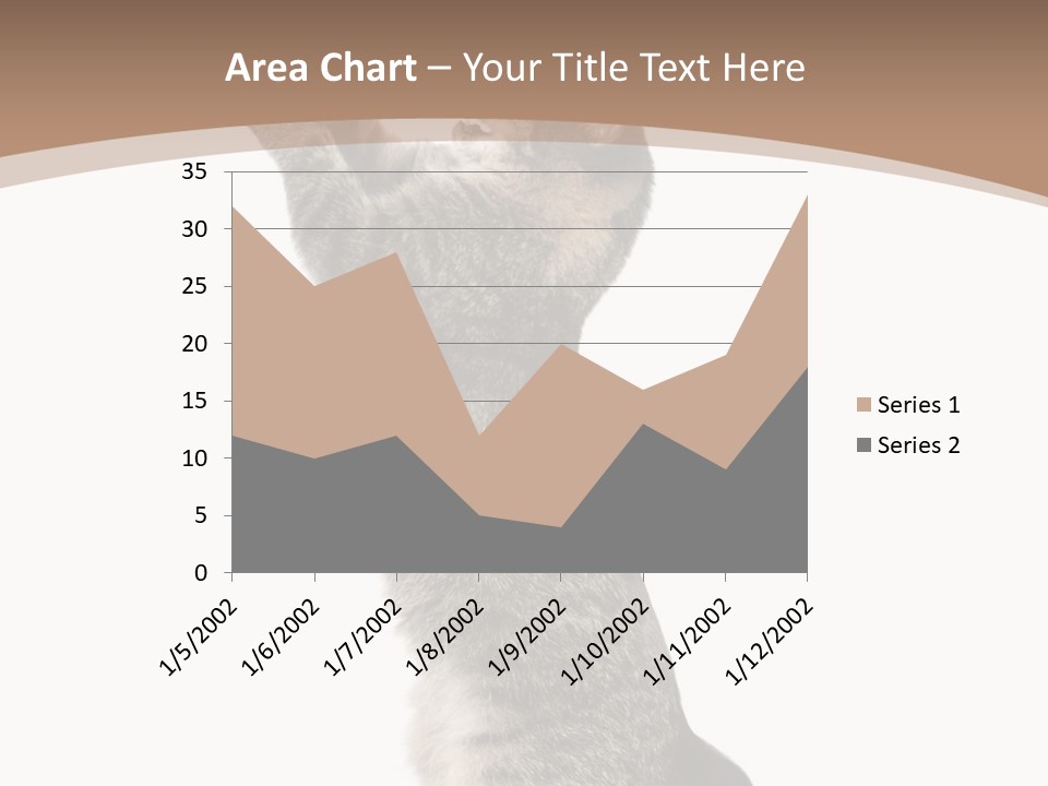 Pet White Kitty PowerPoint Template