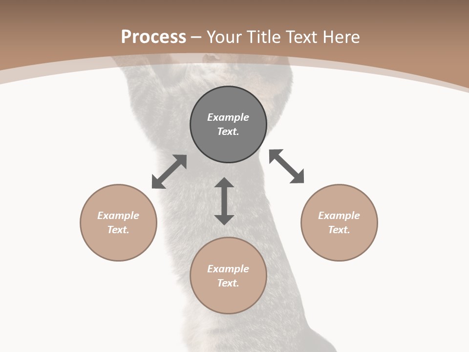 Pet White Kitty PowerPoint Template