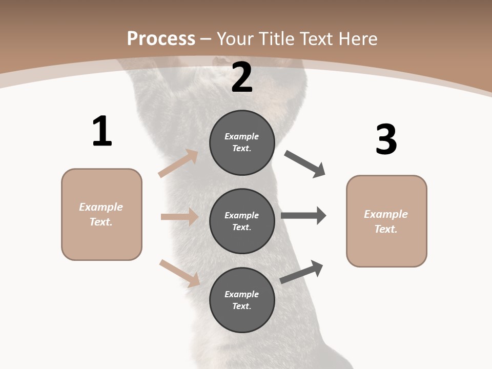 Pet White Kitty PowerPoint Template