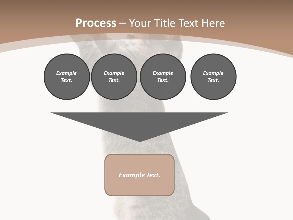 Pet White Kitty PowerPoint Template