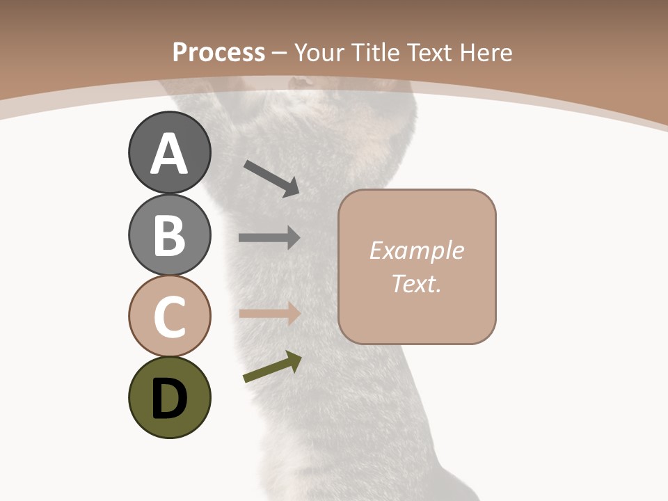 Pet White Kitty PowerPoint Template