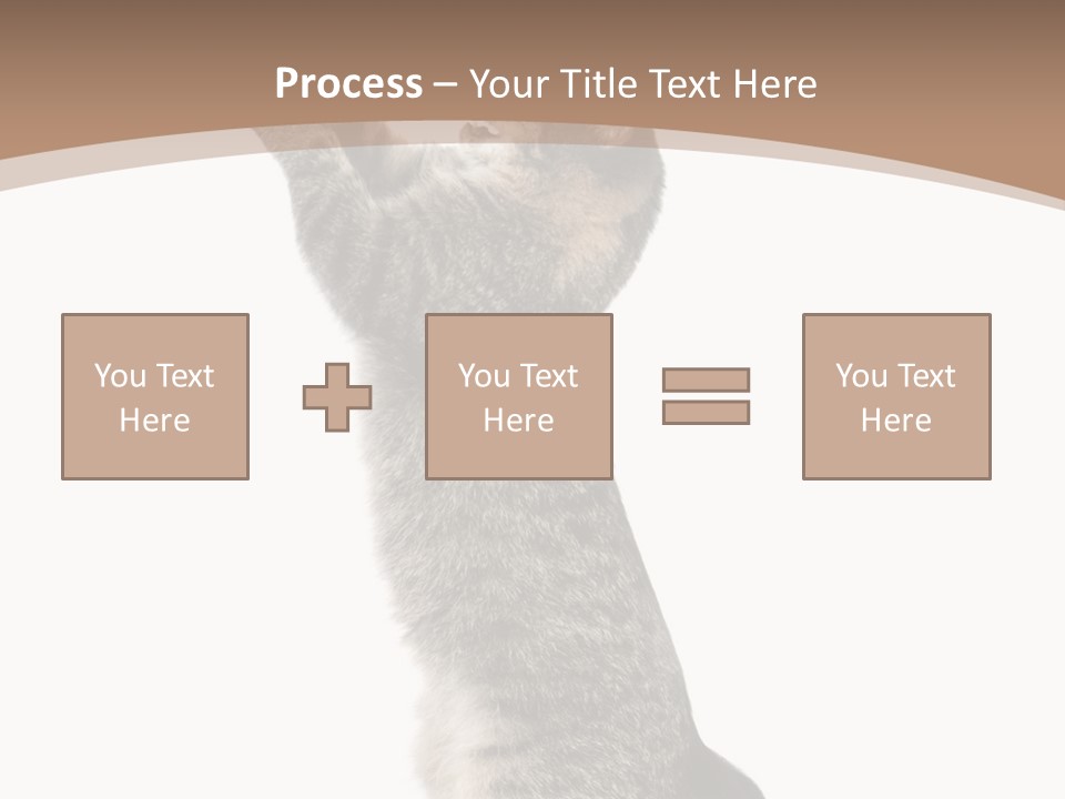 Pet White Kitty PowerPoint Template