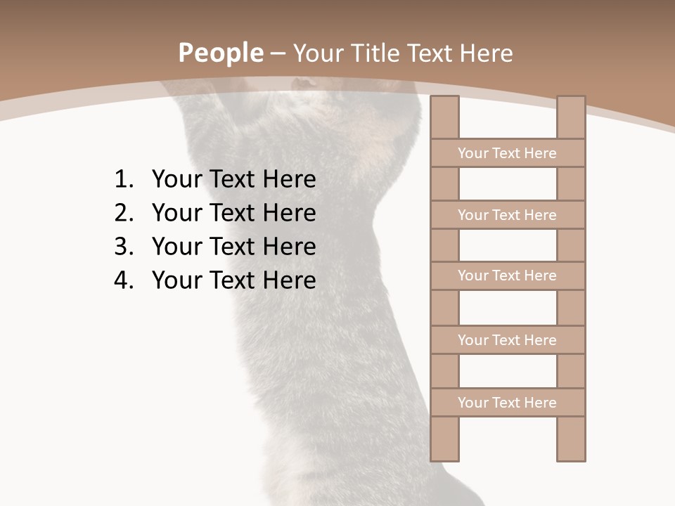 Pet White Kitty PowerPoint Template
