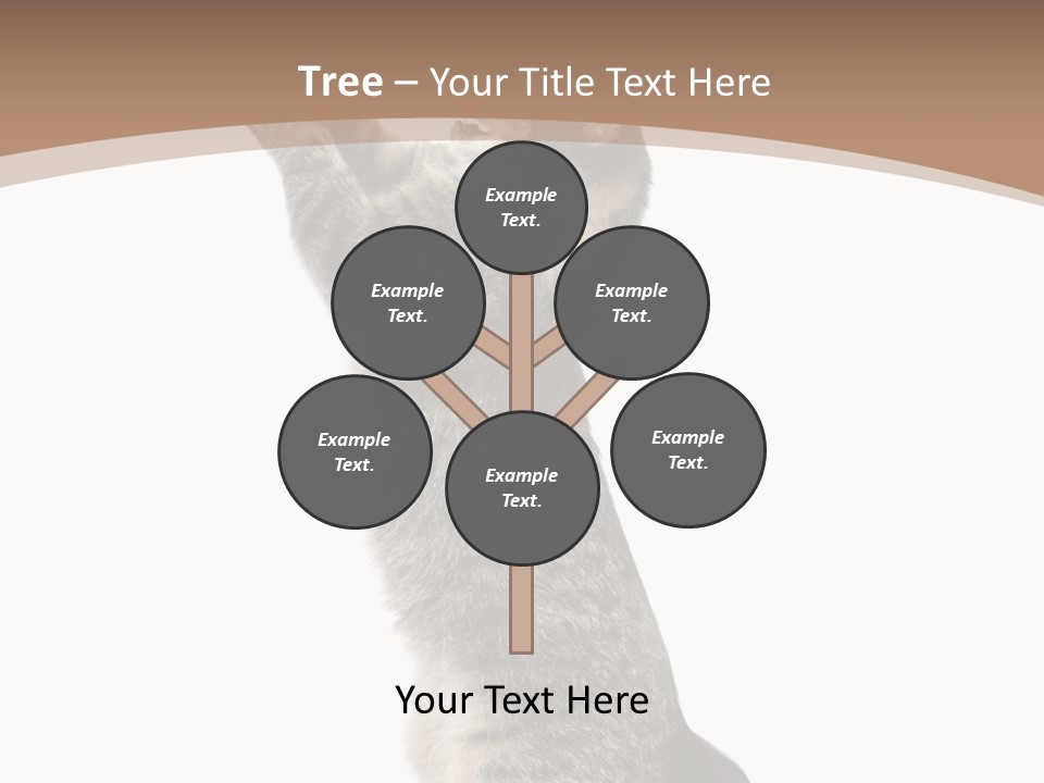 Pet White Kitty PowerPoint Template