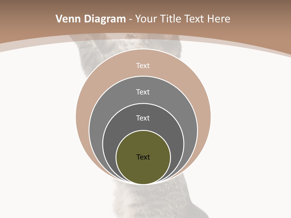 Pet White Kitty PowerPoint Template