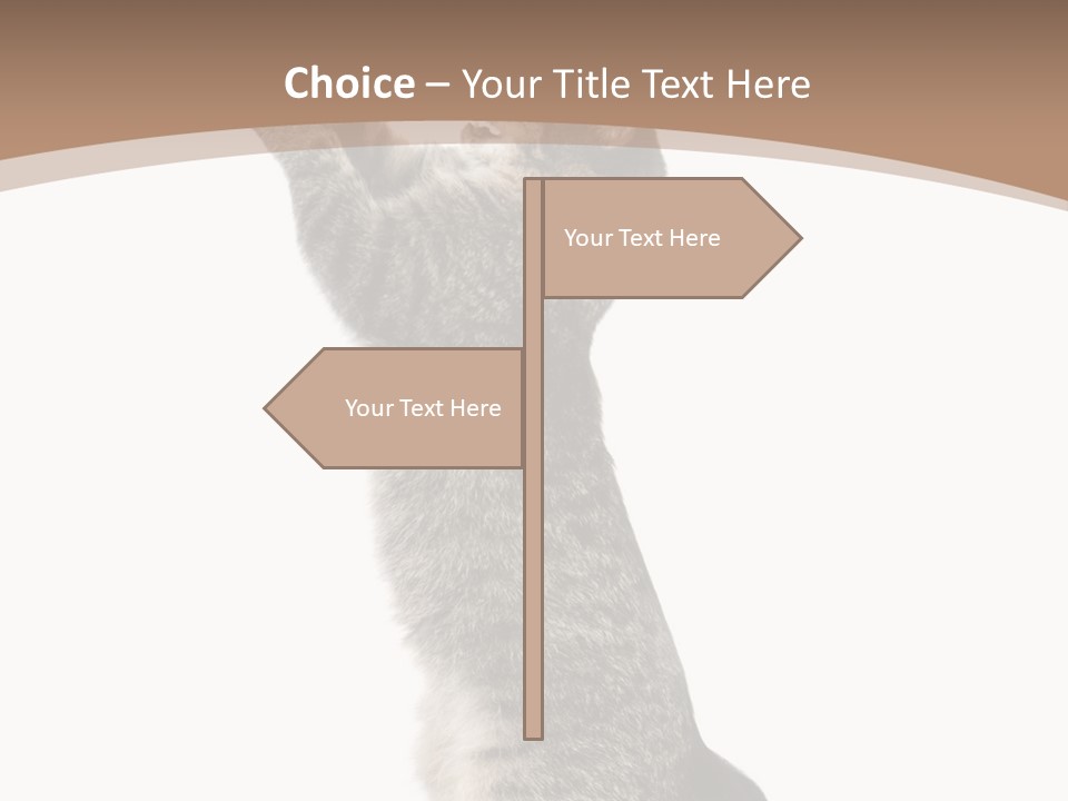 Pet White Kitty PowerPoint Template