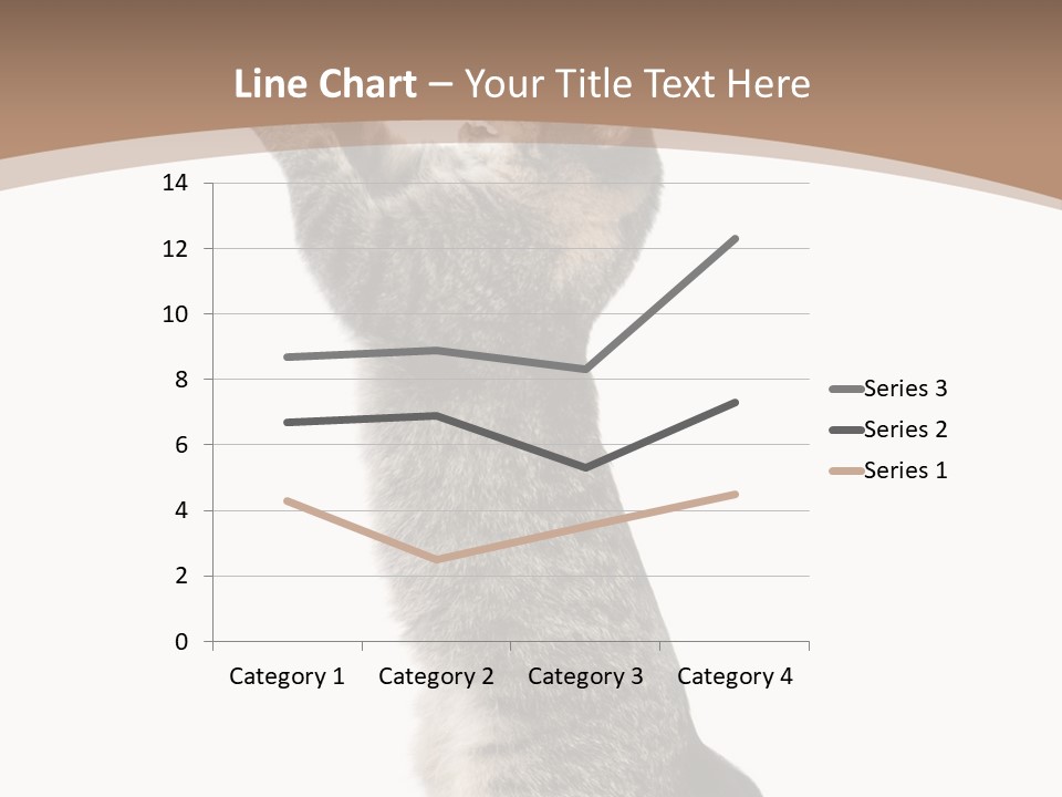 Pet White Kitty PowerPoint Template