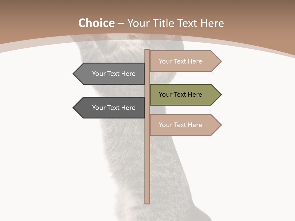 Pet White Kitty PowerPoint Template