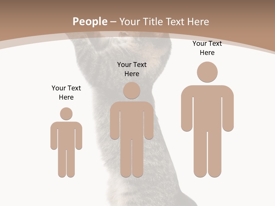 Pet White Kitty PowerPoint Template