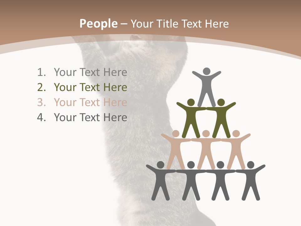 Pet White Kitty PowerPoint Template