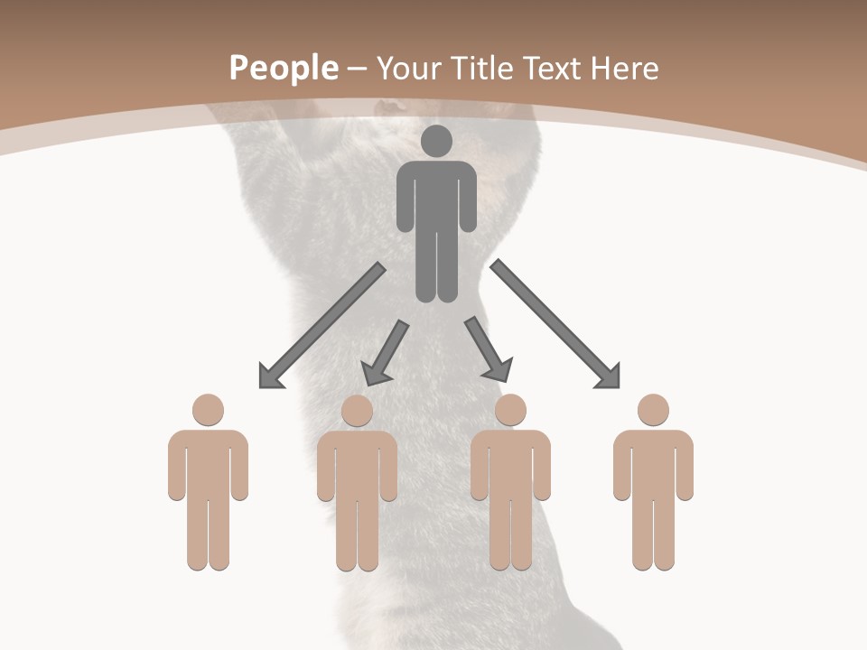 Pet White Kitty PowerPoint Template