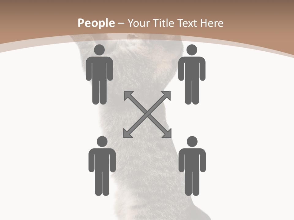 Pet White Kitty PowerPoint Template