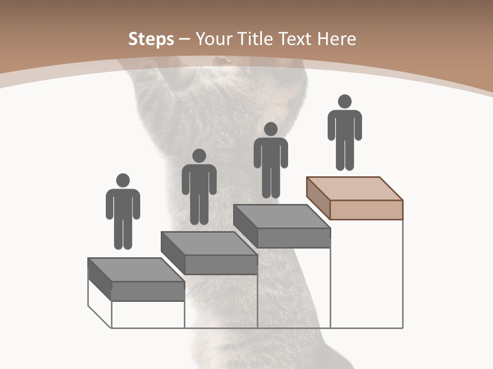 Pet White Kitty PowerPoint Template