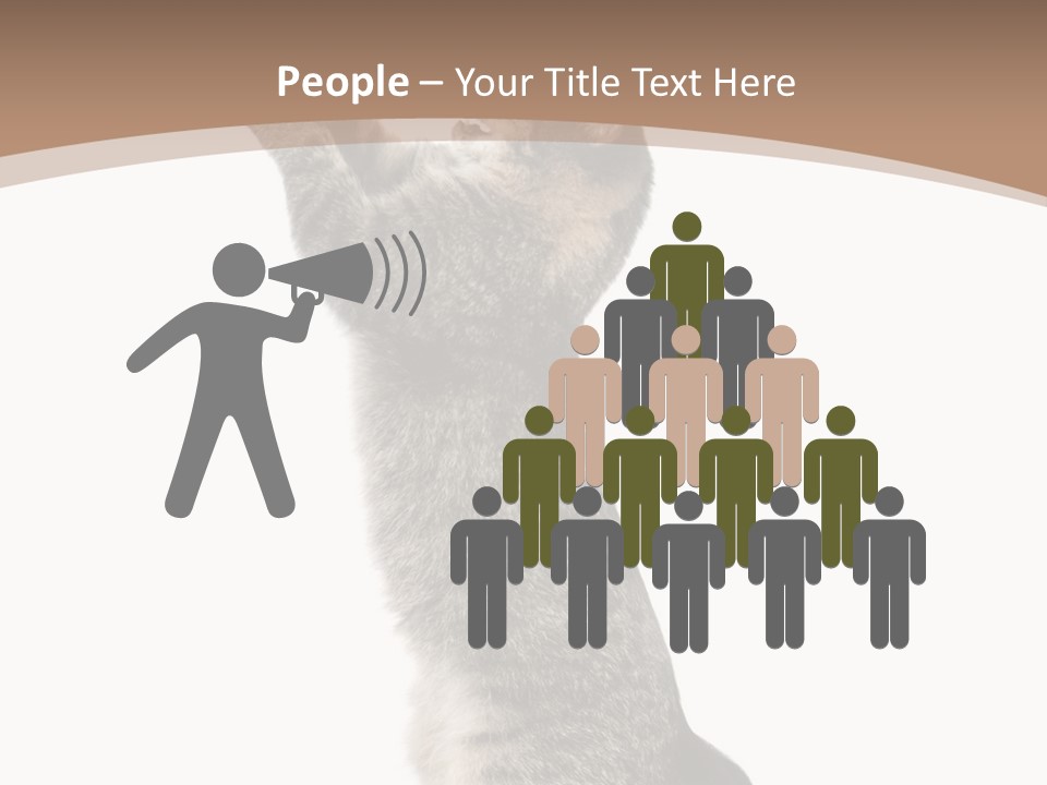 Pet White Kitty PowerPoint Template