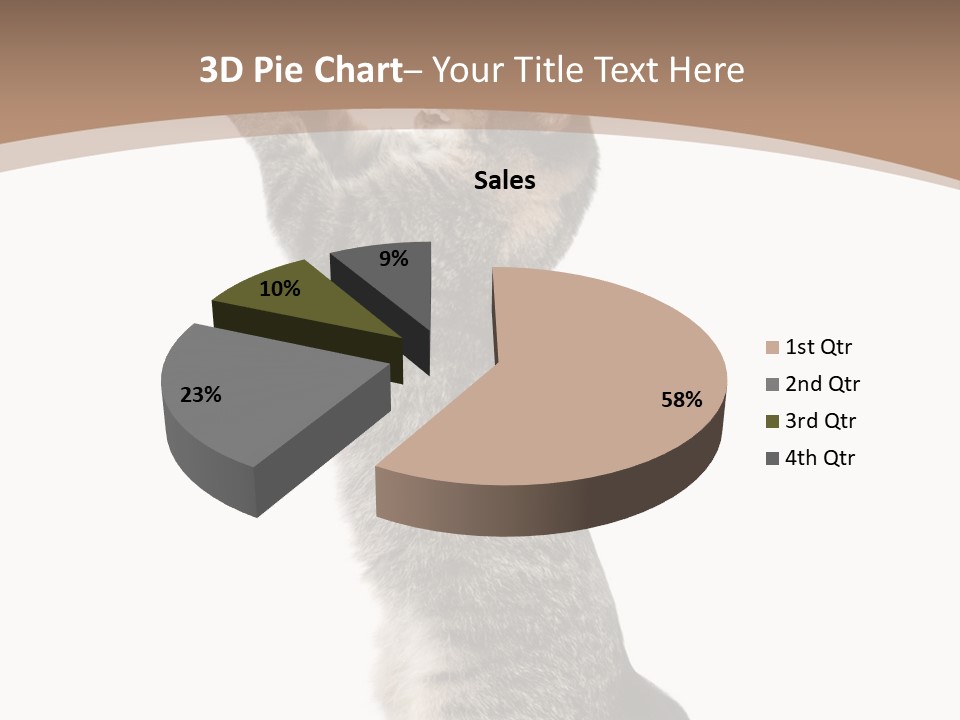 Pet White Kitty PowerPoint Template