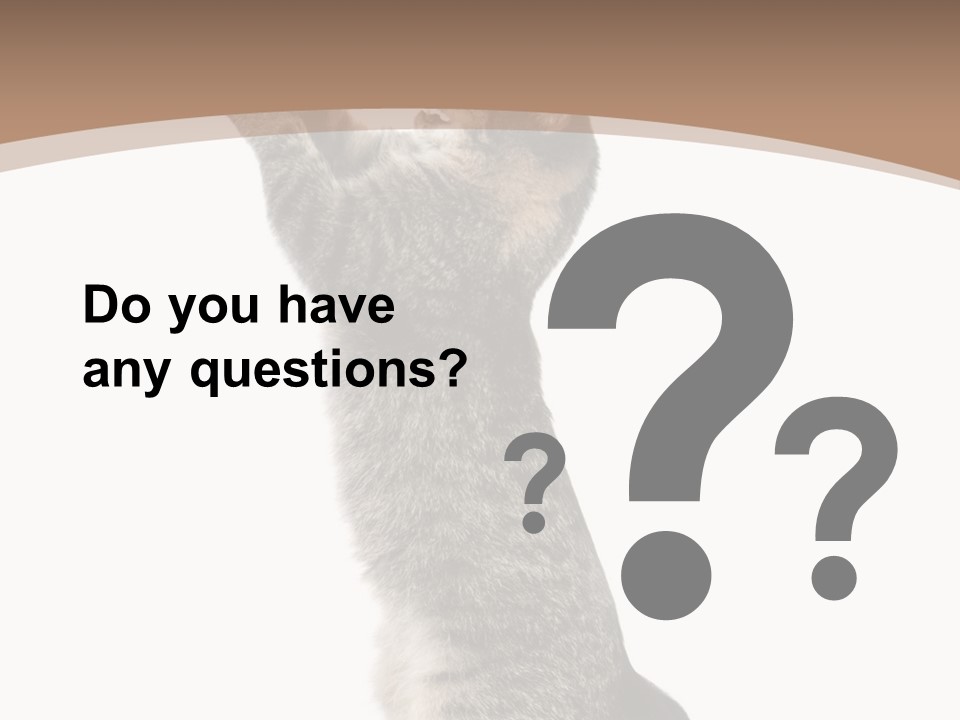 Pet White Kitty PowerPoint Template