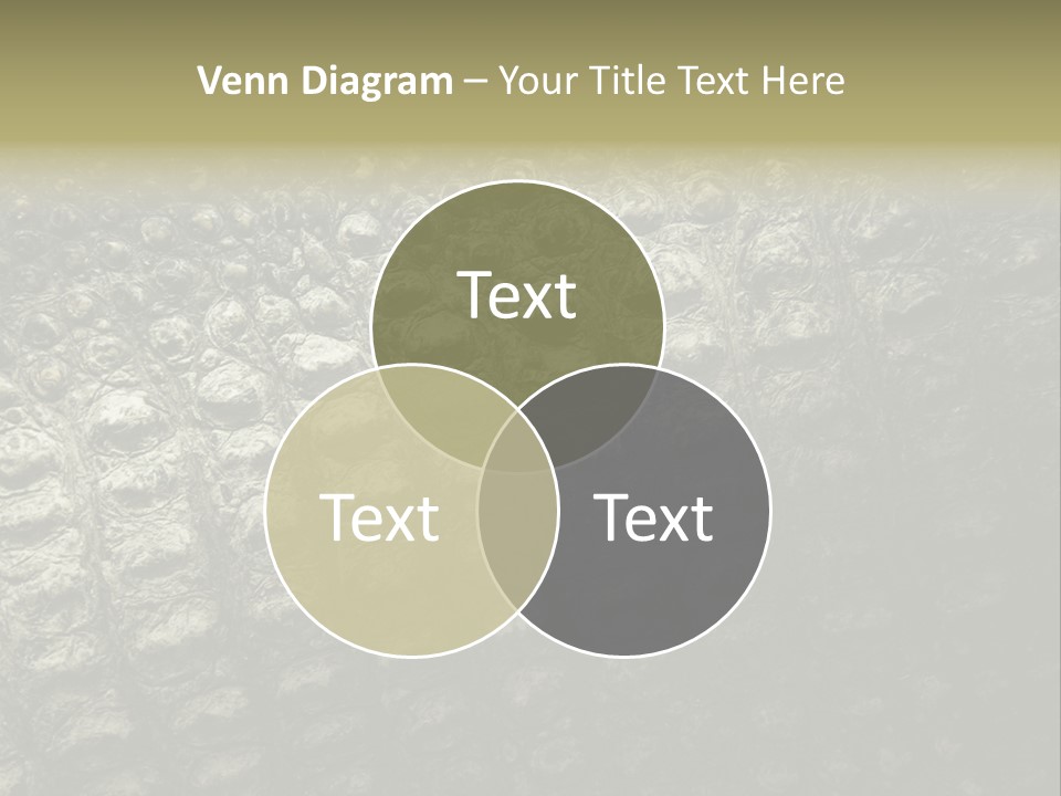 Grey Blank Rough PowerPoint Template