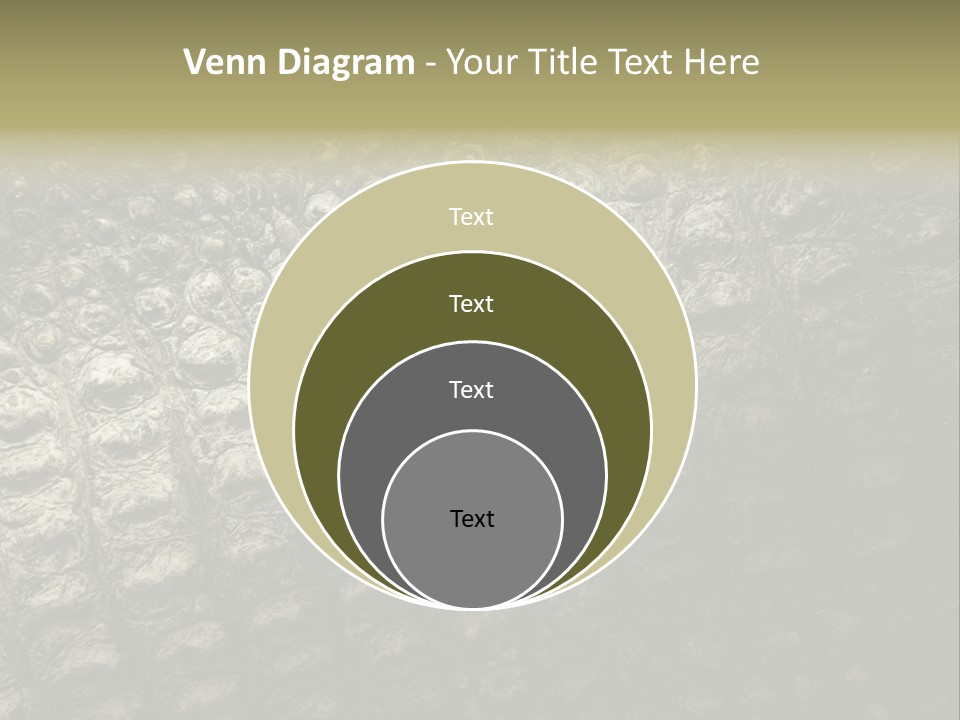 Grey Blank Rough PowerPoint Template