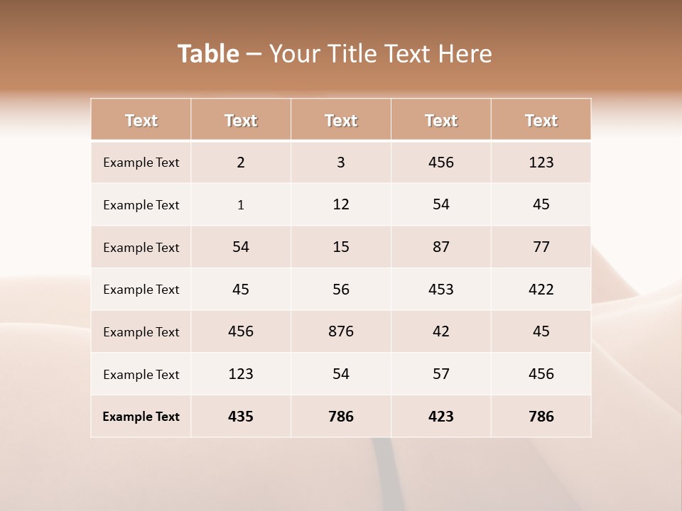 Lingerie Fashion Black PowerPoint Template