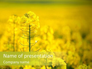 Farming Landscape Alternative Energy PowerPoint Template