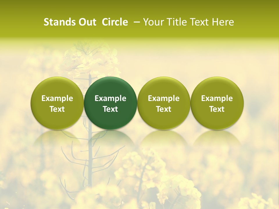 Farming Landscape Alternative Energy PowerPoint Template