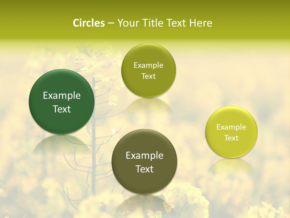 Farming Landscape Alternative Energy PowerPoint Template