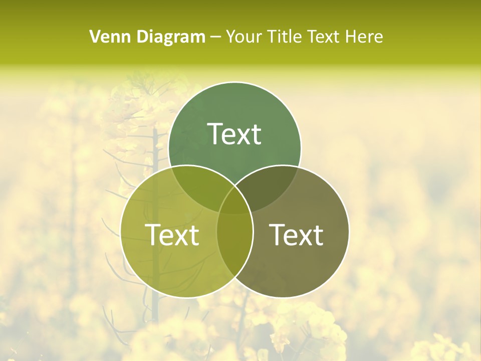 Farming Landscape Alternative Energy PowerPoint Template