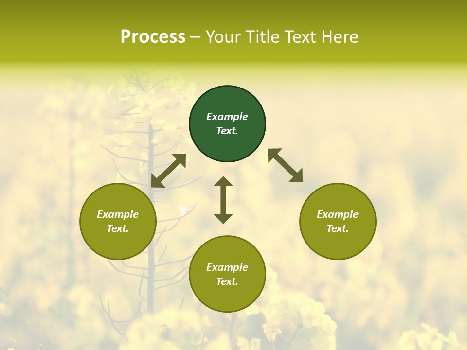 Farming Landscape Alternative Energy PowerPoint Template