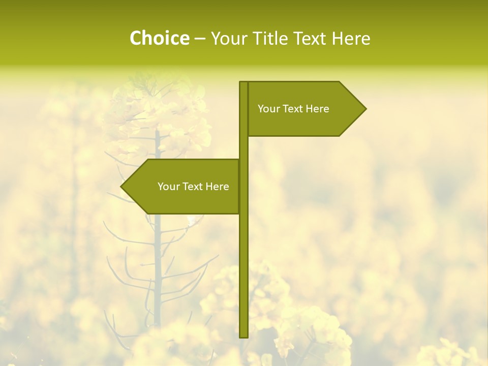 Farming Landscape Alternative Energy PowerPoint Template