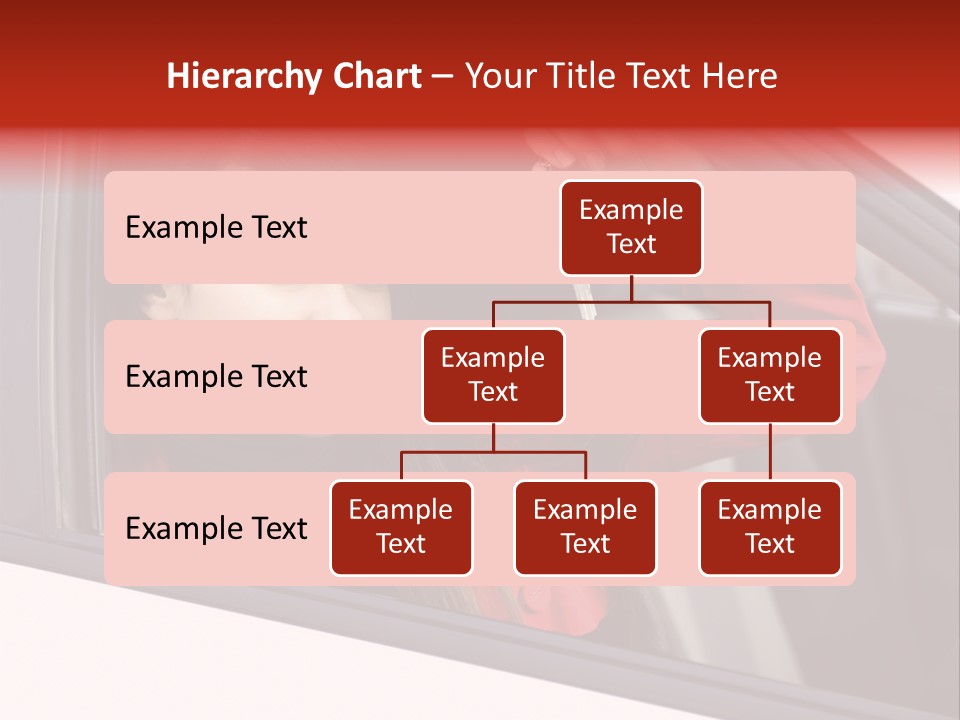 Owner People Beautiful PowerPoint Template