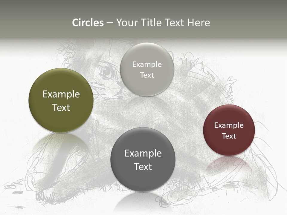 Kitten Drawing Line PowerPoint Template