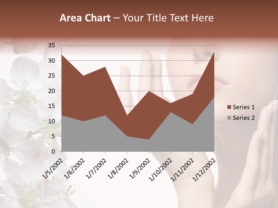 Charm Studio Summer PowerPoint Template
