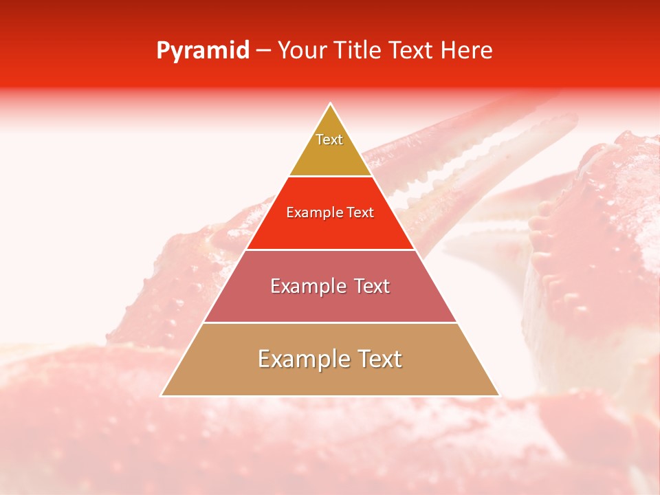 Snow Crab Legs On White Background Focus On Claw PowerPoint Template