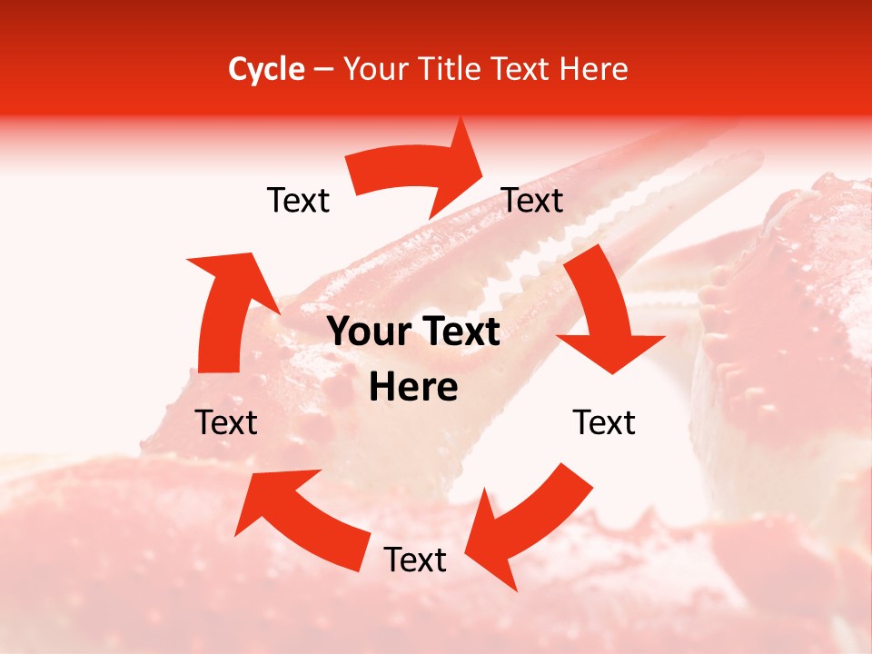 Snow Crab Legs On White Background Focus On Claw PowerPoint Template