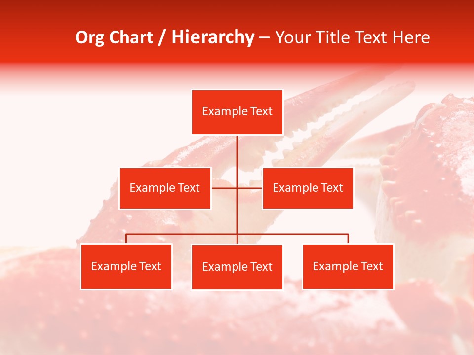 Snow Crab Legs On White Background Focus On Claw PowerPoint Template