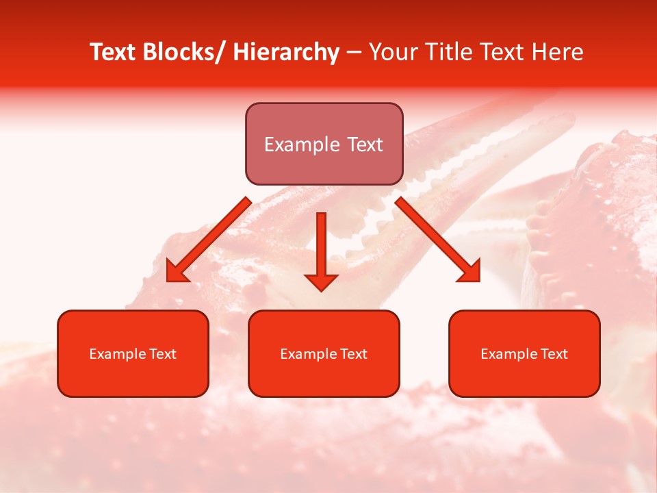 Snow Crab Legs On White Background Focus On Claw PowerPoint Template