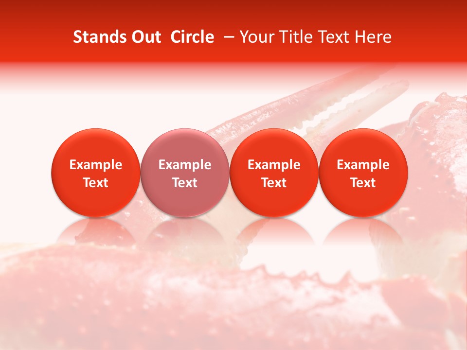 Snow Crab Legs On White Background Focus On Claw PowerPoint Template