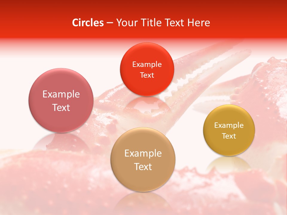 Snow Crab Legs On White Background Focus On Claw PowerPoint Template