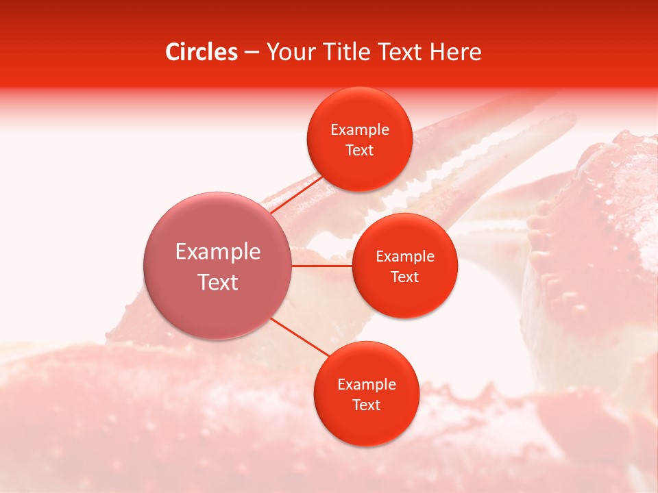 Snow Crab Legs On White Background Focus On Claw PowerPoint Template