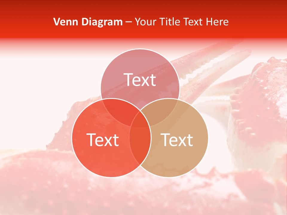 Snow Crab Legs On White Background Focus On Claw PowerPoint Template